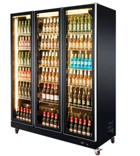 9-Commercial Refrigerator Upright Drink Freezer